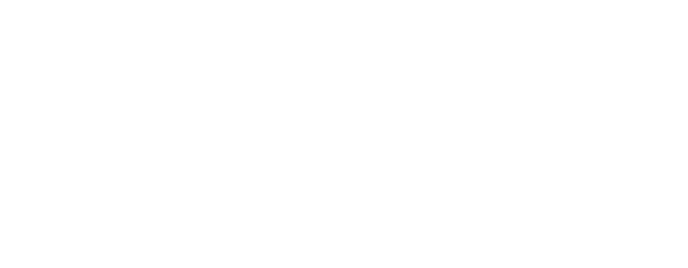 BSB Logo